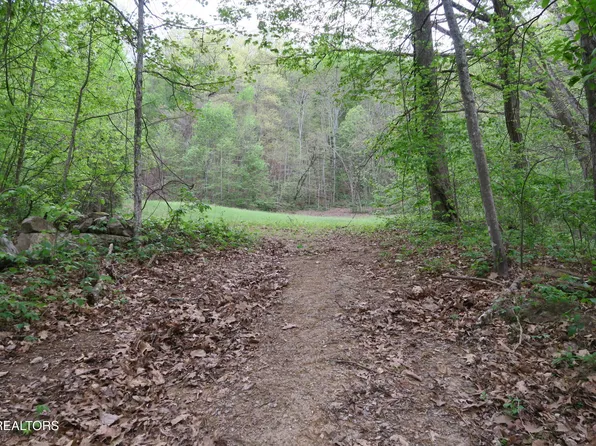 250 Mountain Side Ln, Lake City, TN 37769