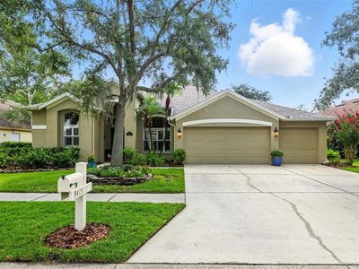 9415 Hunters Pond Dr, Tampa, FL, 33647