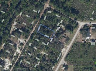 1329 Rutledge Ave, Lake Placid, FL 33852