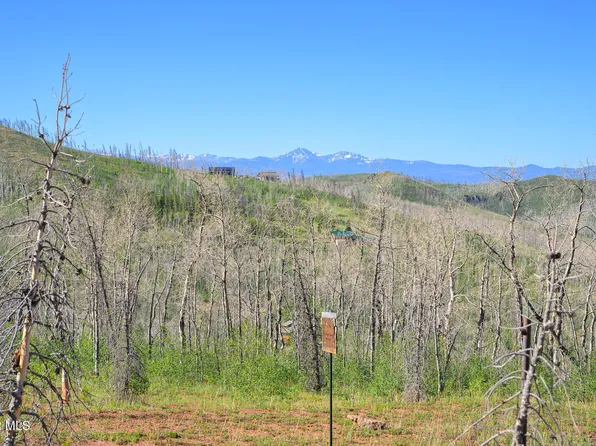 463 County Road 414, Granby, CO 80446