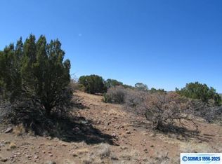 Xx Kirkland Rd, Silver City, NM 88061
