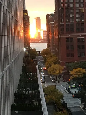 Rented by Owner | media 11