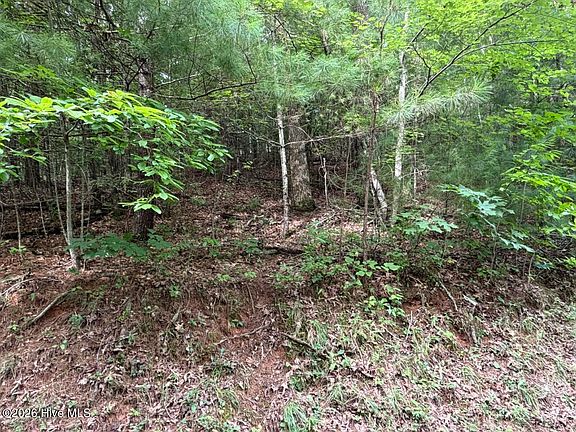 5th image of Lot 9 Confederate Circle LOT 27