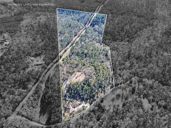 286 Private Road 6294, Palestine, TX 75801