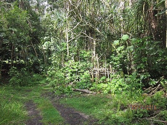 5th image of 15-1509 4th Ave Lot 2595