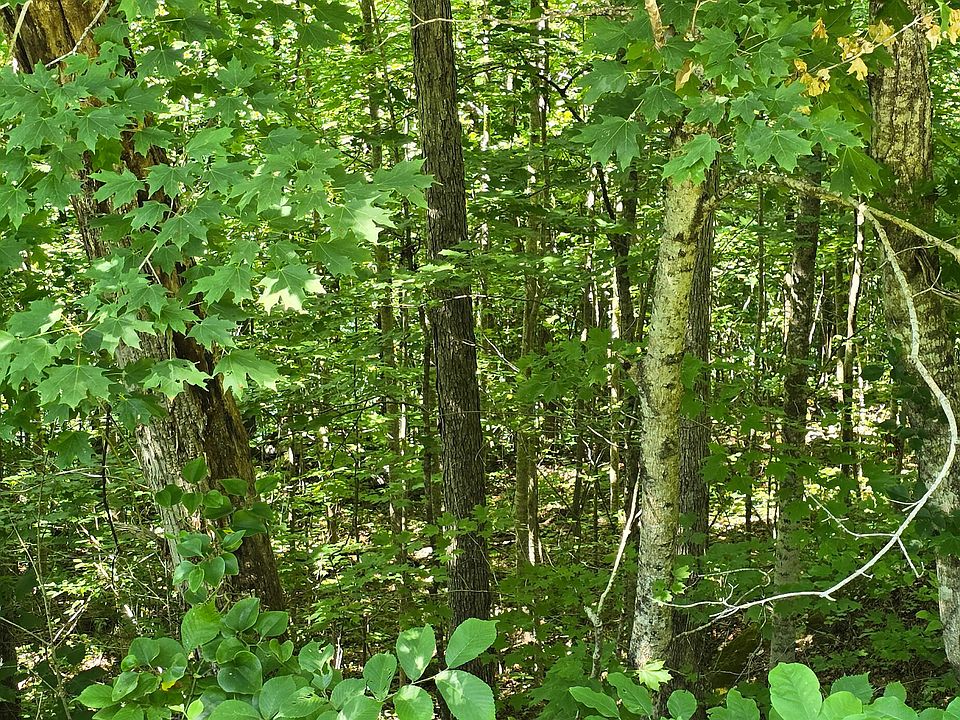 1st image of 2347 Roberts Bend Rd