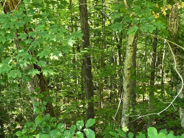 2347 Roberts Bend Rd, Burnside, KY 42519