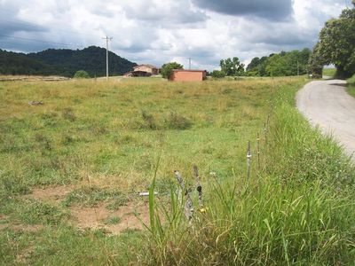 0 Cantwell Valley Rd, Sneedville, TN, 37869