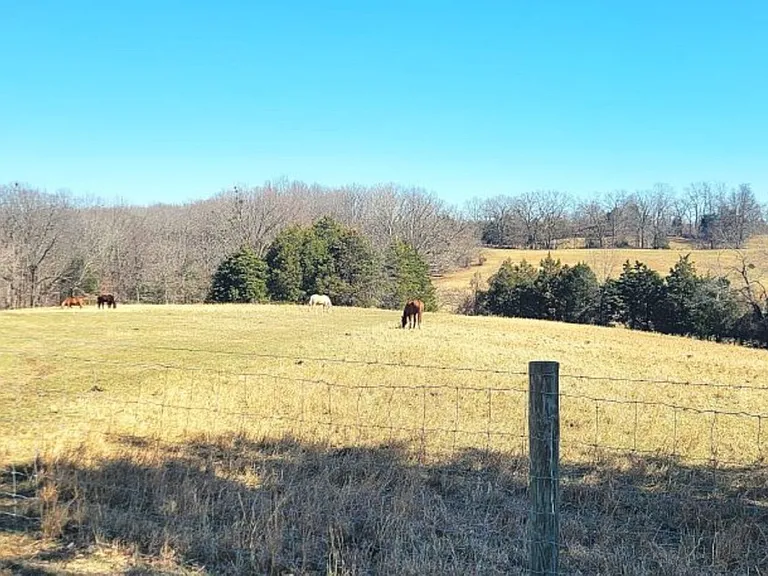 Ben T Johns Rd — Photo 13