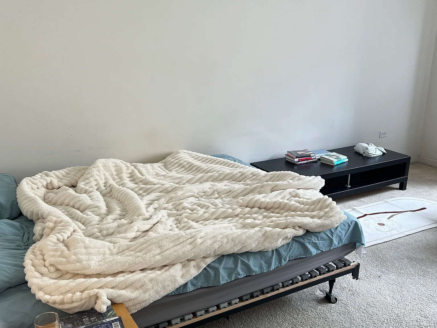 1 bed, $900 — Photo 2
