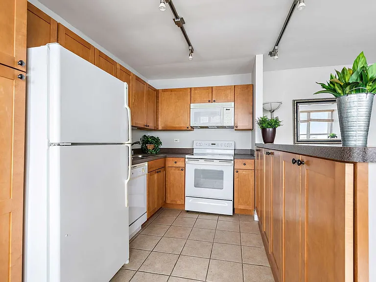 655 W Irving Park Rd #4103 — Photo 3