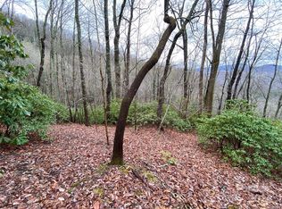 999999 Shumont Rd, Black Mountain, NC 28711