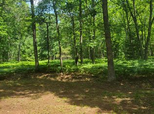 S Star Acres Dr, Baldwin, MI 49304