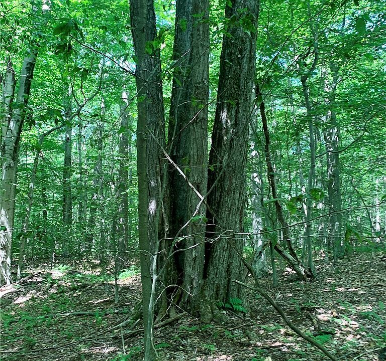 1st image of 6546 Richburg Hill Rd #5