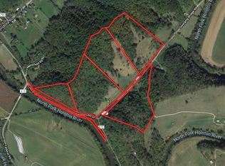 3130 Swinging Bridge Rd, Mendota, VA 24270