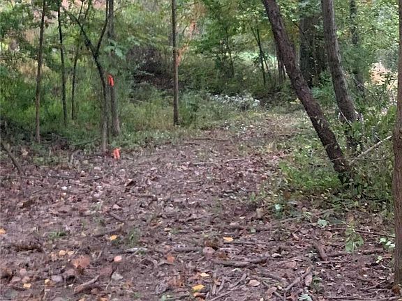 5th image of LOT 12 Homestead Ln