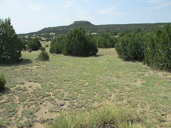 4th image of 6 Twenty Acres Tract