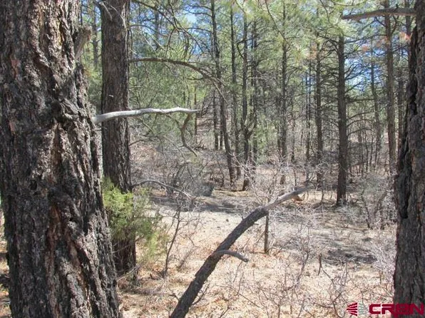 70 Betty's Court, Pagosa Springs, CO 81147