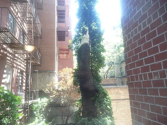 Rented by John O'Kelly Real Estate | media 29