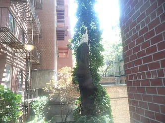 Rented by John O'Kelly Real Estate