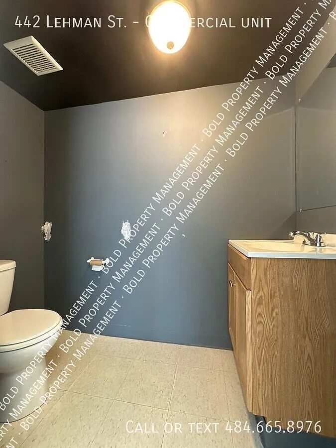 Commercial Space in Lebanon — Photo 4
