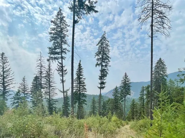 Boundary Rd, Metaline, WA 99152