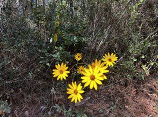 One E Sugar Shack Ln, Milton, FL 32570