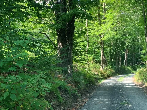 Bethlehem Tr12 Road, Fremont Center, NY 12736