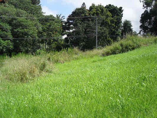 3rd image of 35-122 Papaaloa Ave Lot C