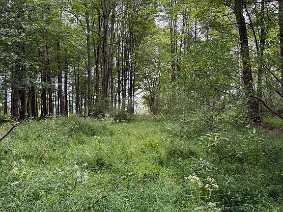 5th image of 0 Old Orchard Ln
