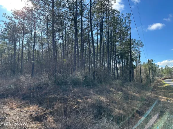 0 Emile Davis Rd, Poplarville, MS 39470