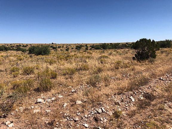 4th image of 5349 W Mile High Dr