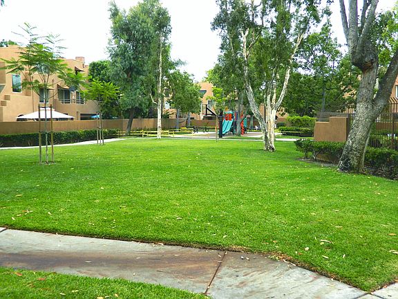 Plenty of Open Space for Out Door Activities.