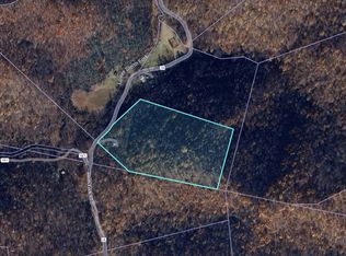 3420 Lower Sleith Rd, Frametown, WV 26623