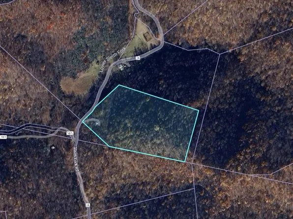 3420 Lower Sleith Rd, Frametown, WV 26623