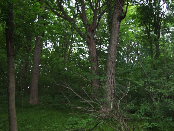 4th image of Emery Dr