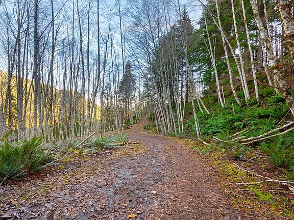 2nd image of 1049 Grafton Rd