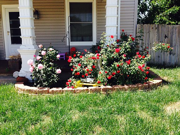 Front flowerbed during summe
