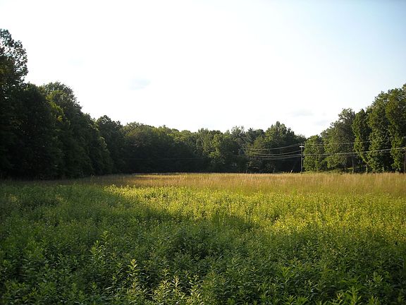 meadows