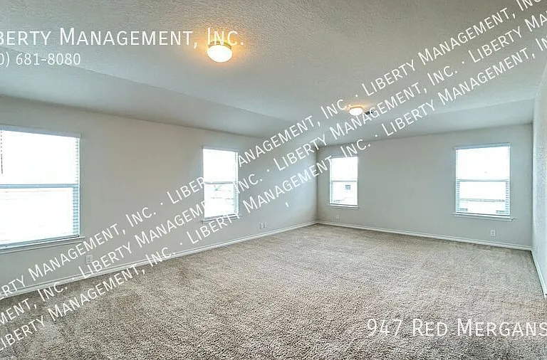 947 Red Merganser — Photo 14