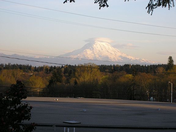 view from deck