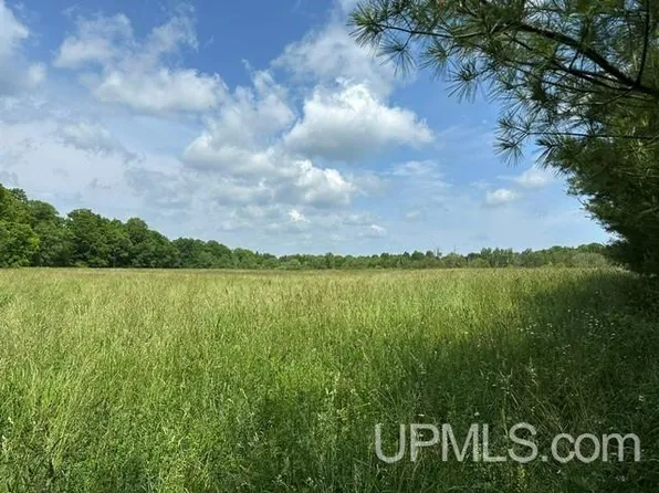 35A E Slapneck Rd, Chatham, MI 49816