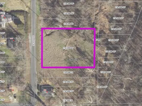 Dimmick St, Burkeville, VA 23922