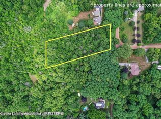 PARCEL Bailey Rd #B, Dimondale, MI 48821