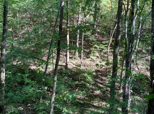 Laurel Bluff Rd, Kingston, TN 37763