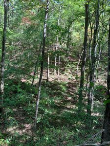 Laurel Bluff Rd, Kingston, TN, 37763