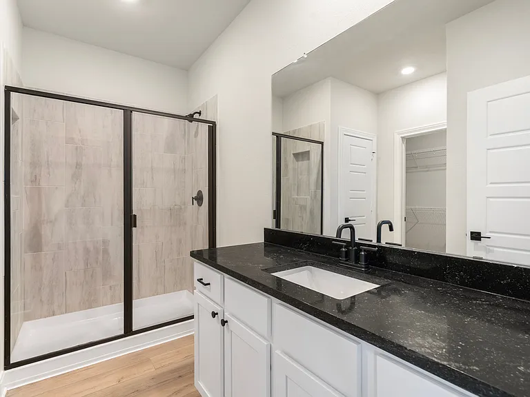 The master bathroom with step-in shower.