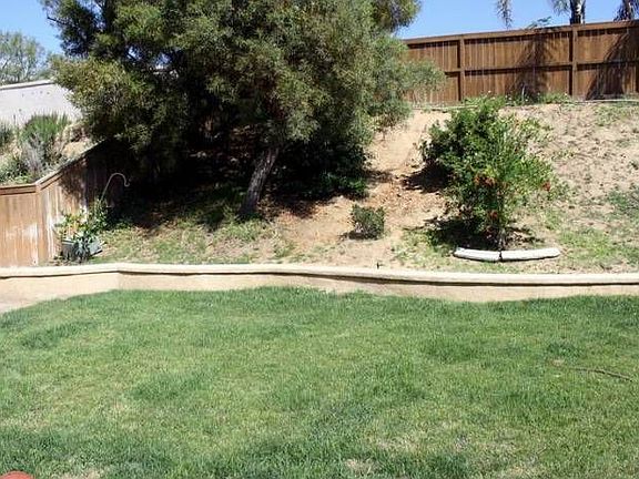 Large Backyard