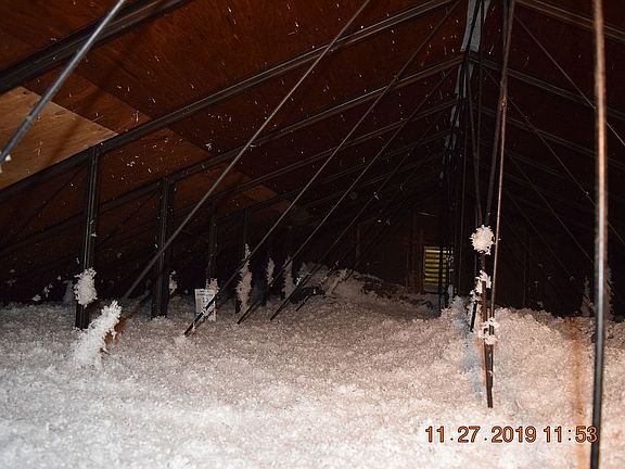 New Attic Insulation 2019