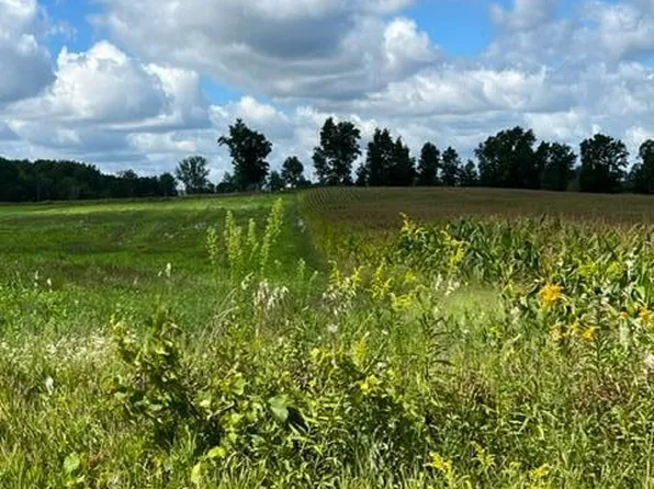 0 S Mason Dr, Grant, MI 49327